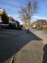 1000019954.jpg