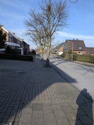 1000019948.jpg