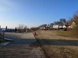 20250203_143151.JPG