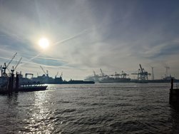 20250203_105147.JPG
