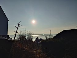 20250203_150259.JPG