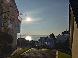 20250203_142609.JPG