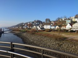 20250203_143347.JPG