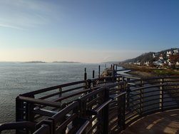 20250203_143419.JPG