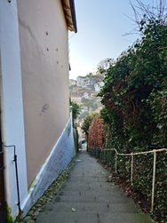 20250203_150054.JPG