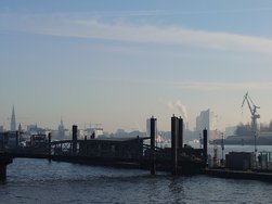 20250203_105317.JPG