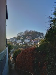 20250203_150116.JPG