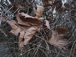 20250203_170727.jpg