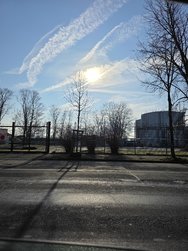 20250203_120301.jpg