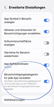 Screenshot_20250203_175954_Settings.jpg