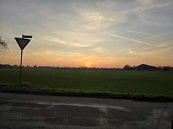 20250203_171608.jpg