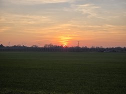 20250203_171623.jpg