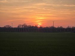 20250203_171627.jpg