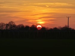 20250203_171629.jpg