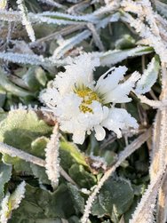 IMG_0562.jpeg