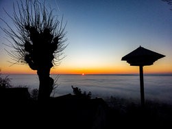 20250203_075925.jpg