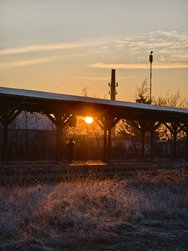 IMG_20250203_080333.jpg