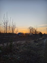 IMG_20250203_080654.jpg