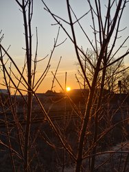 IMG_20250203_080731.jpg