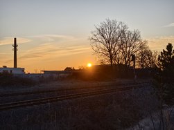 IMG_20250203_080804.jpg