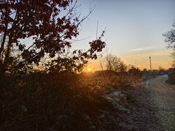 IMG_20250203_080919.jpg