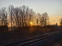 IMG_20250203_081350.jpg