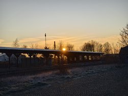 IMG_20250203_081530.jpg
