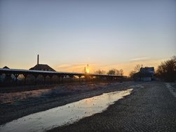 IMG_20250203_081615.jpg
