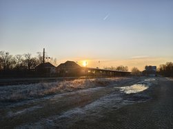 IMG_20250203_091846.jpg