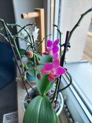 20250203_160219.jpg