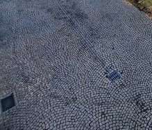 1000121297.jpg