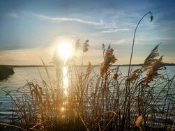 IMG_20250203_160415_HDR.jpg