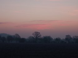 20250204_074311.JPG