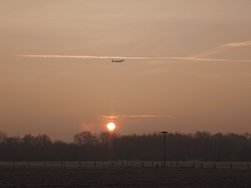 20250204_082714.JPG