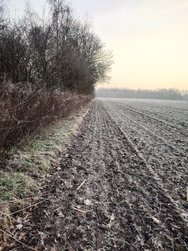 20250204_080423.JPG