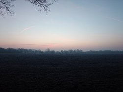 20250204_074210.JPG