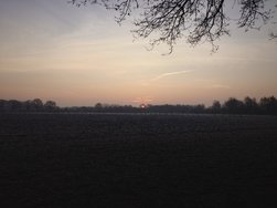20250204_081623.JPG