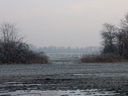 20250204_075404.JPG