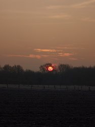 20250204_081735.JPG