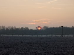 20250204_081641.JPG