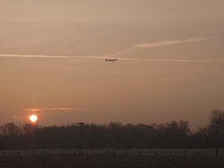 20250204_082718.JPG
