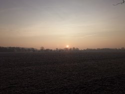 20250204_083118.JPG