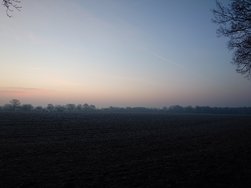 20250204_074230.JPG