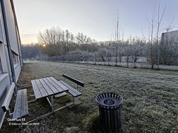 IMG20250203091108.jpg