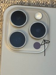 IMG_2615.jpeg