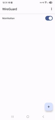 Screenshot_20250204_123111_WireGuard.jpg