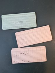 PXL_20250204_115947478.jpg