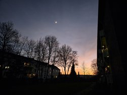 20250202_180114.jpg