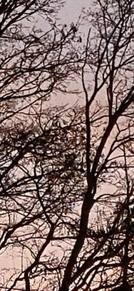 Screenshot_20250204_141719_Gallery.png