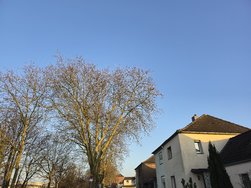 20250204_164527.jpg